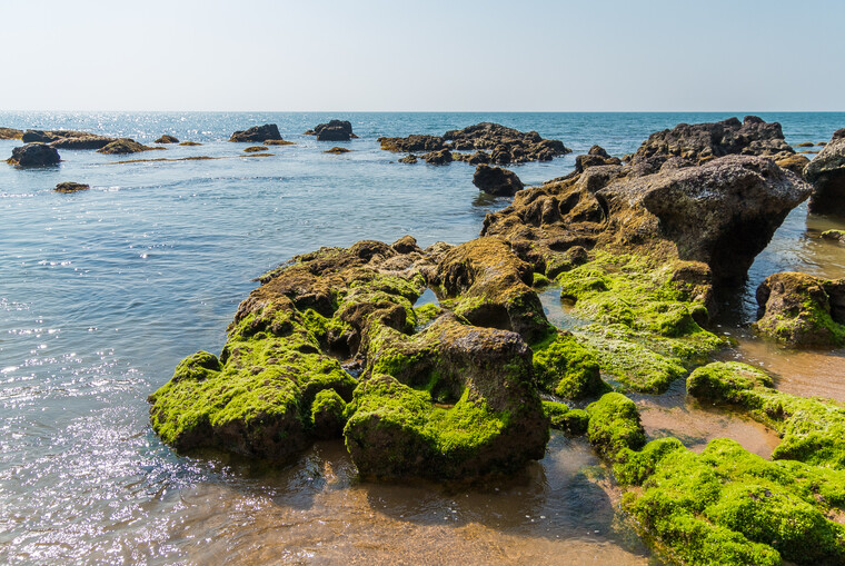 India 2014 - Goa 065.jpg